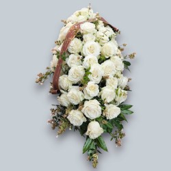 CUSCINO PLUS W1 €158-338