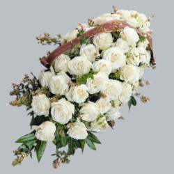 CUSCINO PLUS W1 €158-338