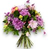 VELINCANTO €35-55