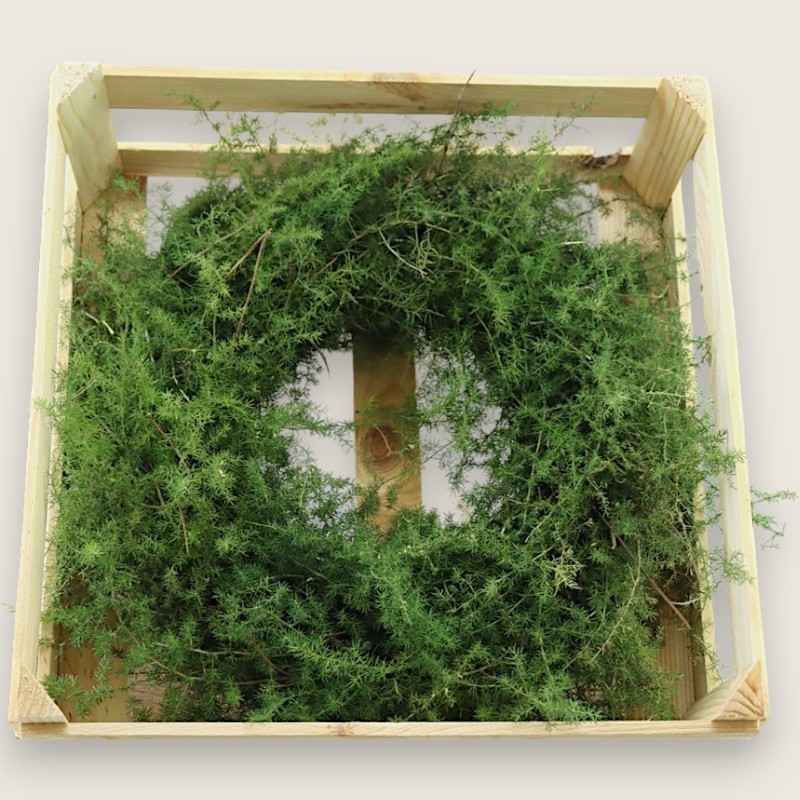 WREATH ASPARAGUS