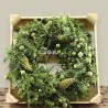 WREATH JUNIPER +PINE CONES