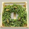 WREATH JUNIPER +PINE CONES