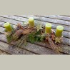 AVVENTO NATURALE €60-80