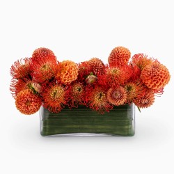 FUOCHI D'ARTIFICIO €130-184