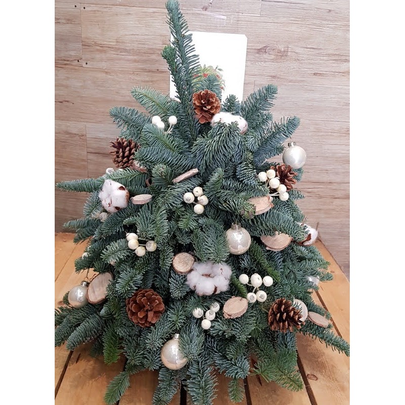 REAL PINE TREE W €133-218