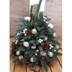 REAL PINE TREE W €133-218