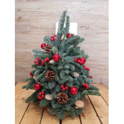 REAL PINE TREE R €142-223