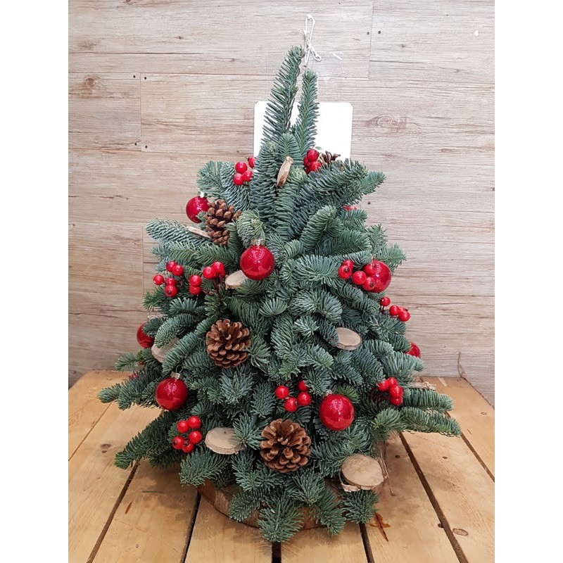 ALBERELLO PINO VERO R €142-223