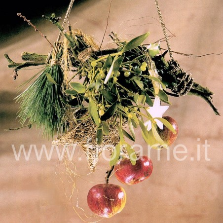 MISTLETOE HUNG WITH APPLES