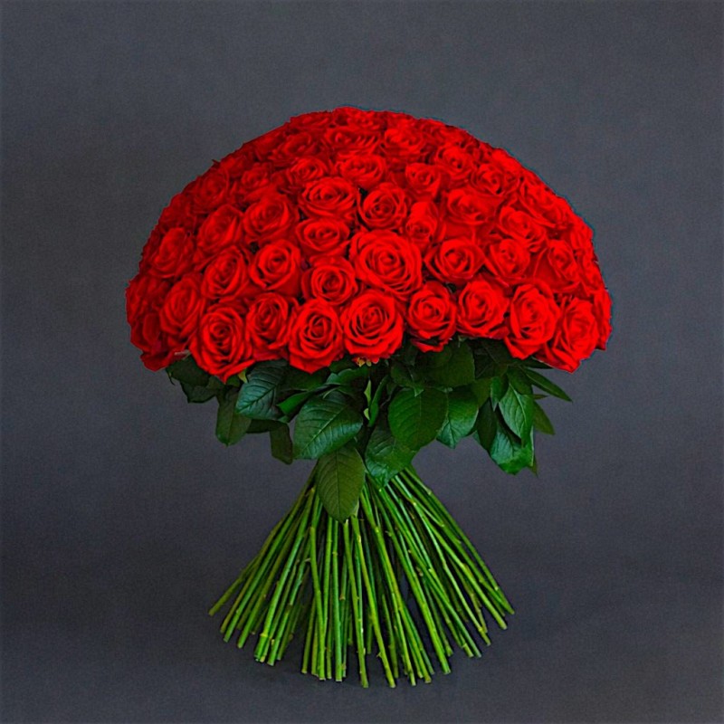 100 ROSE ROSSE