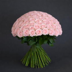 100 ROSE - scegli colore