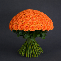 100 ROSE - scegli colore