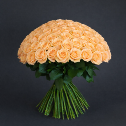 100 ROSE - scegli colore