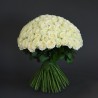 100 ROSE - scegli colore