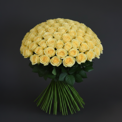 100 ROSES - choose color