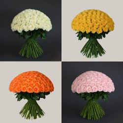 100 ROSES - choose color