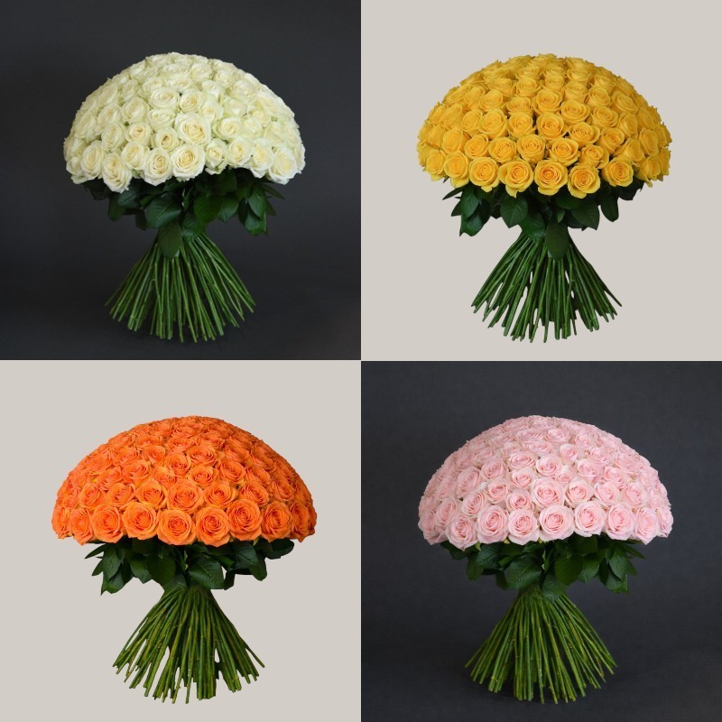 100 ROSES - choose color