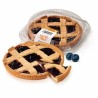 TARTS GR500