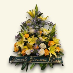 COMPOSIZIONE PLUS Y5 €122-274
