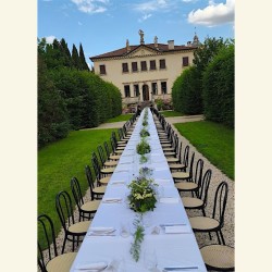 FIORI DI CAMPO 1
