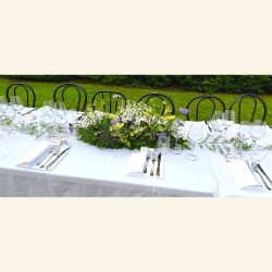 FIORI DI CAMPO 2