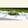 FIORI DI CAMPO 2