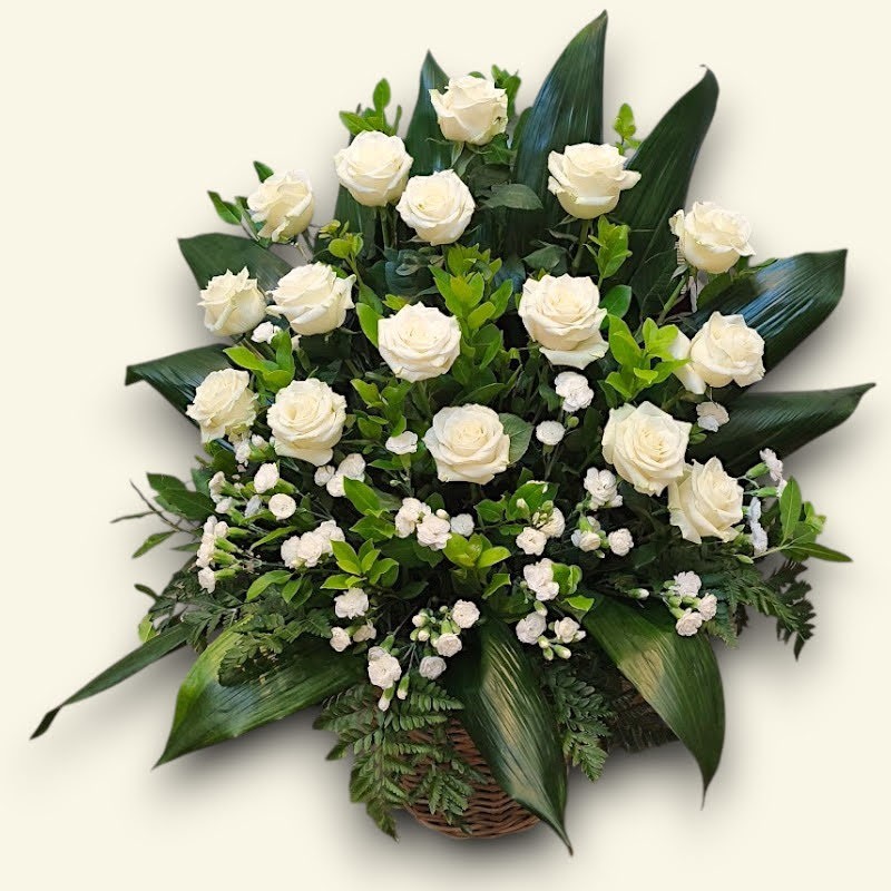 COMPOSIZIONE PLUS W4 €122-274