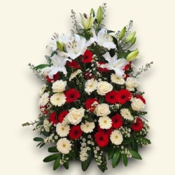 COMPOSIZIONE PLUS R4 €122-274