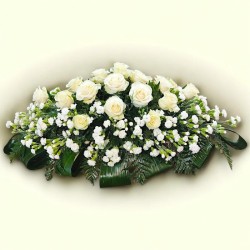 CUSCINO PLUS W3 €158-338