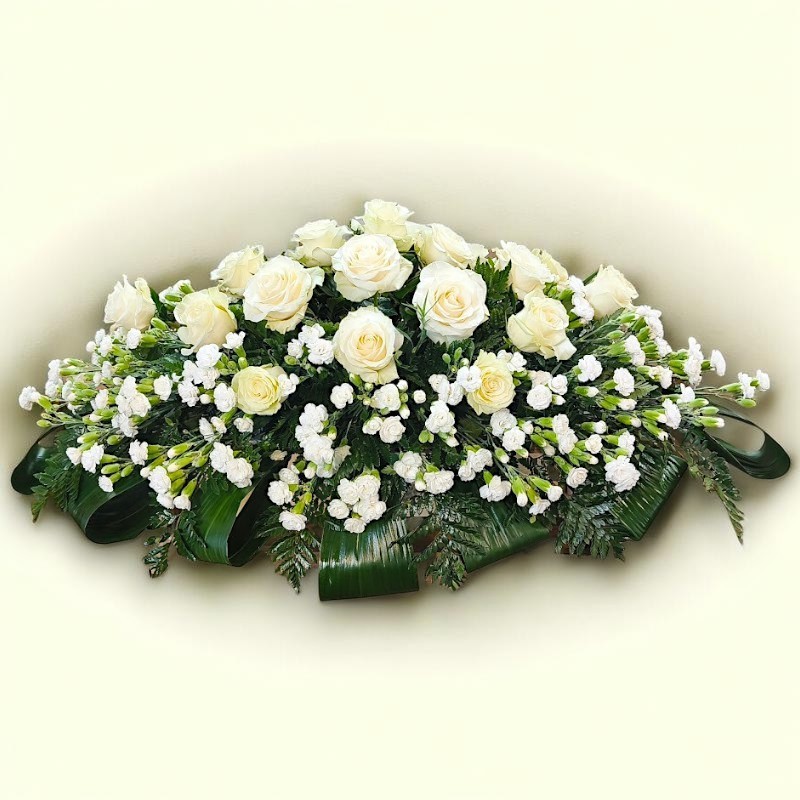 CUSCINO PLUS W3 €158-338