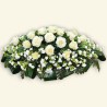 CUSCINO PLUS W3 €158-338