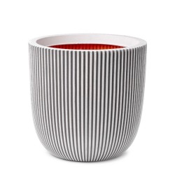 Avorio