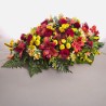 CUSCINO  STAN R+Y €115-237