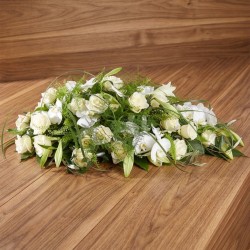 CUSCINO PLUS W1 G €158-338