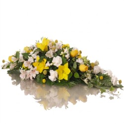 CUSCINO  STAN Y+W €115-237