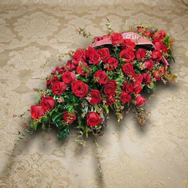 CUSCINO PLUS R2 €158-338