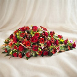 CUSCINO PLUS R G €158-338