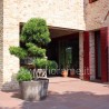 CORTILE DI CAMPAGNA VENETA - esempio