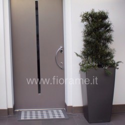 PIANTE E GIARDINO PER ENTRATA D'UFFICIO