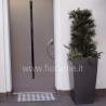 PIANTE E GIARDINO PER ENTRATA D'UFFICIO