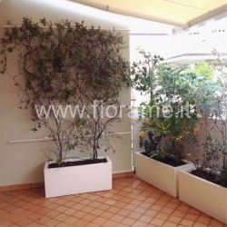 TERRAZZO BIANCO PER L'INVERNO