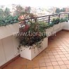 TERRAZZO BIANCO PER L'INVERNO