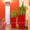 SALA RIUNIONI, VASI VIVACI - piante robuste