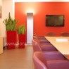MEETING ROOM, VASES in VIBRANT - robust plants