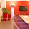 SALA RIUNIONI, VASI VIVACI - piante robuste