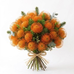 CORDIFOLIUM A NUMERO