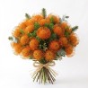 CORDIFOLIUM IN NUMBER