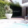 PISCINA E PIANTE ASPRE