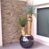 YUCCA ROSTRATA - pianta generica