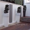 CORTILE, SIMMETRIA - podocarpus